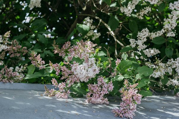 Créer une ambiance zen avec un plafonnier suspendu style wabi-sabi